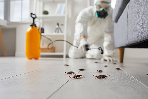 Commercial Kitchen Cockroach Control in Wanchese